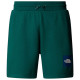 The North Face Ανδρικό σορτς Box NSE Regular Shorts